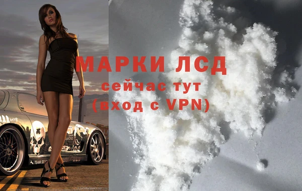 спайс Алзамай